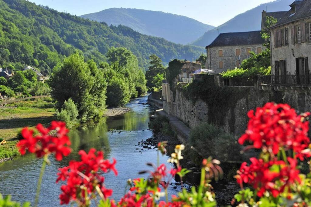 Au 11 T3 Duplex, Village Vacances, Piscines, Parking Saint-Geniez-dʼOlt Dış mekan fotoğraf