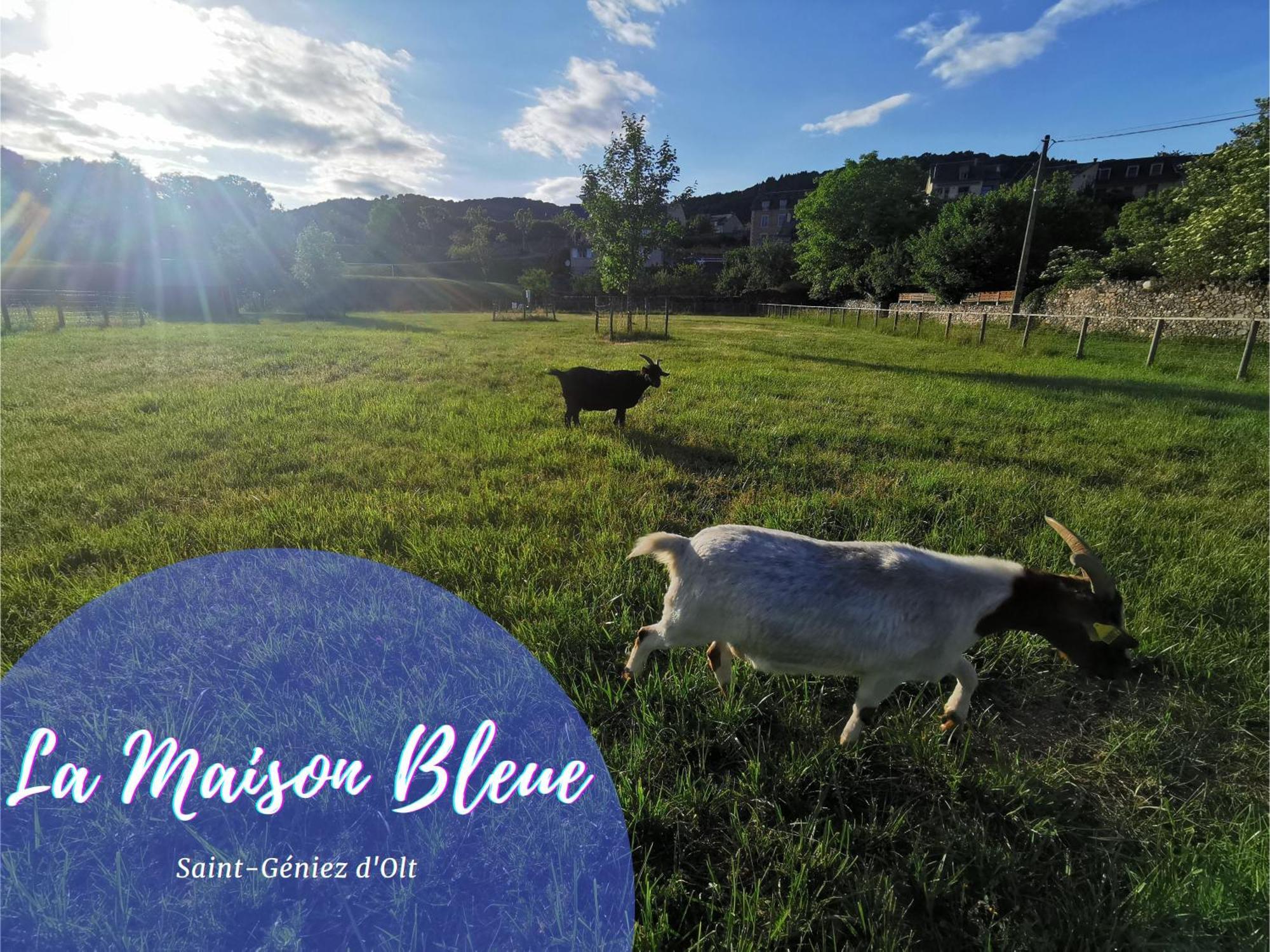 Au 11 T3 Duplex, Village Vacances, Piscines, Parking Saint-Geniez-dʼOlt Dış mekan fotoğraf